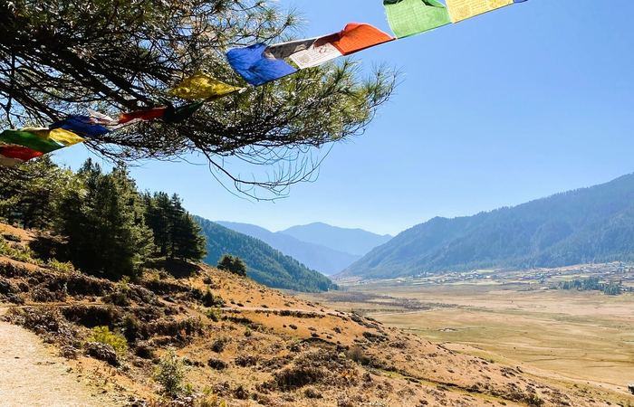 Gangtey Nature Trail in the Phobjikha Valley, Bhutan